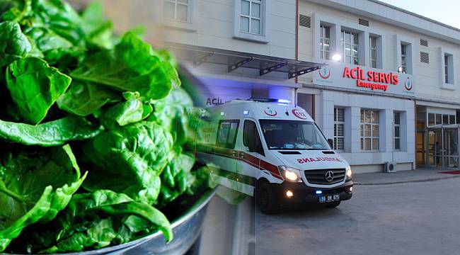 Ispanaktan Zehirlendiler