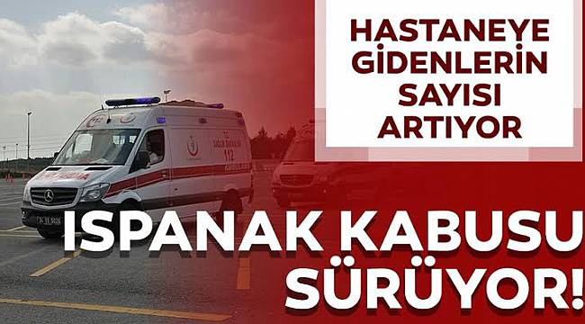 Tekirdağ'da Ispanaktan Zehirlenme Sayısı 40'a Yükseldi