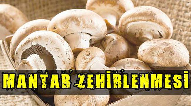 Mantar Yiyen Anne ve Oğlu Hastanelik Oldu