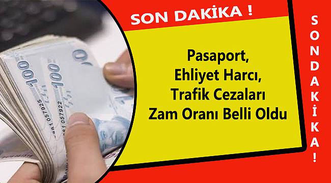 Pasaport, Ehliyet Harcı, Trafik Cezaları Zam Oranı Belli Oldu