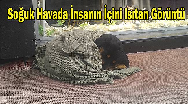 Soğuk Havada İnsanın İçini Isıtan Görüntü
