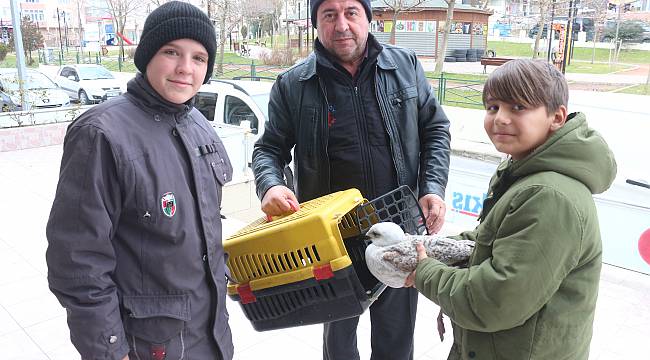 Çocukların Sahip Çıktığı Yaralı Martı Tedaviye Alındı