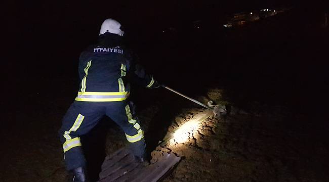 Gübre Yığına Batan Köpeği İtfaiye Kurtardı