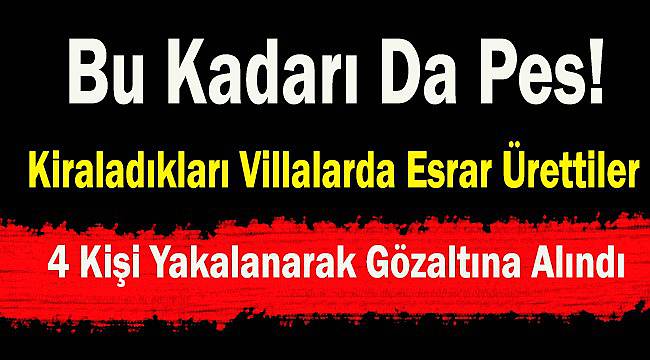 Kiraladıkları villalarda Esrar Üreten 4 kişi Yakalandı