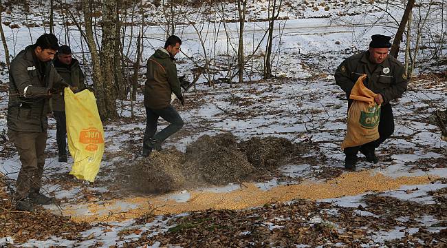 Kırklareli'nde Yaban Hayvanları İçin Doğaya Yem Bırakıldı