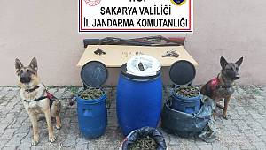 Sakarya'da 11 Kilogram Esrar Ele Geçirildi
