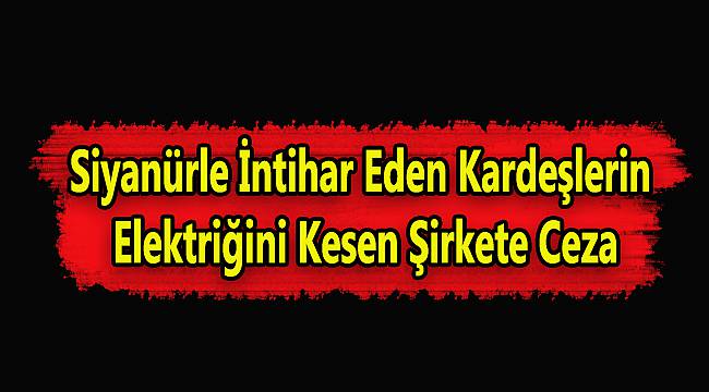 Siyanürle İntihar Eden Kardeşlerin Elektriğini Kesen Şirkete Ceza