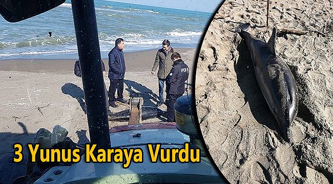3 Yunus Karaya Vurdu