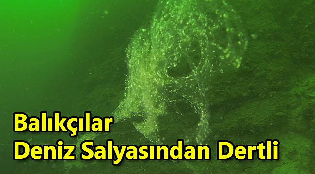 Balıkçılar Deniz Salyasından Dertli