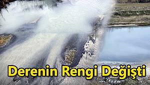 Derenin Rengi Değişti