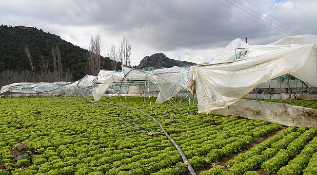 Hortumdan Zarar Gören Seralarda Hasar Tespiti