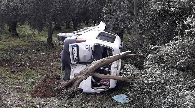 İznik'te Kontrolden Çıkan Hafif Ticari Araç, Ağaca Çarptı: 1 Yaralı