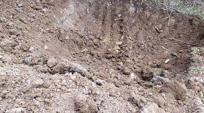 Ormanlık Alanda Yapılan Kazıda Kemik Parçaları Bulundu