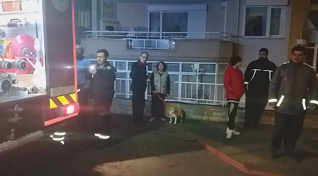 Yangında Mahsur Kalan Köpek İtfaiye Ekiplerince Kurtarıldı