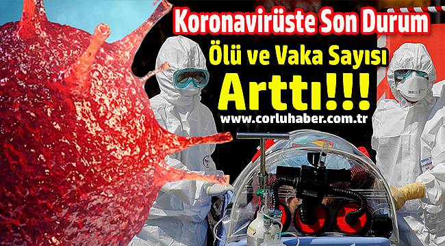 Türkiye'de Korkutan Tablo Ölü ve Vaka Sayısı Giderek Artıyor!