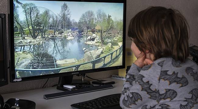 Ziyarete Kapatılan Bursa Hayvanat Bahçesi İnternetten Gezilebilecek