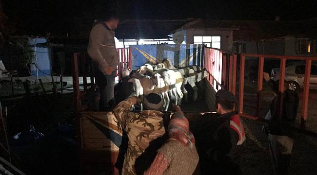 Köylerden Koyun Çalan 4 Zanlıyı JASAT Yakaladı