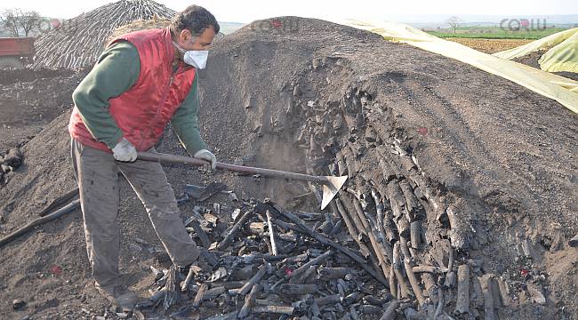 Mangal Kömürü İşçilerinin Ekmek Mücadelesi