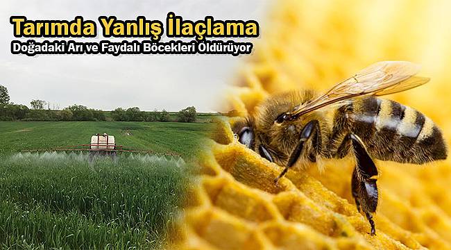 Tarımda Yanlış İlaçlama Doğadaki Arı ve Faydalı Böcekleri Öldürüyor