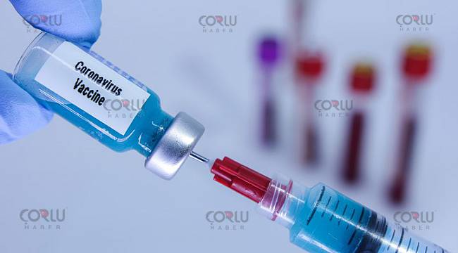 Türk Bilim İnsanı Koronavirüs Aşısı ve İlacı İçin İlk Aşamayı Başarıyla Tamamladı