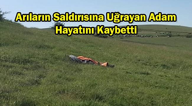 Arıların Saldırısına Uğrayan Adam Hayatını Kaybetti