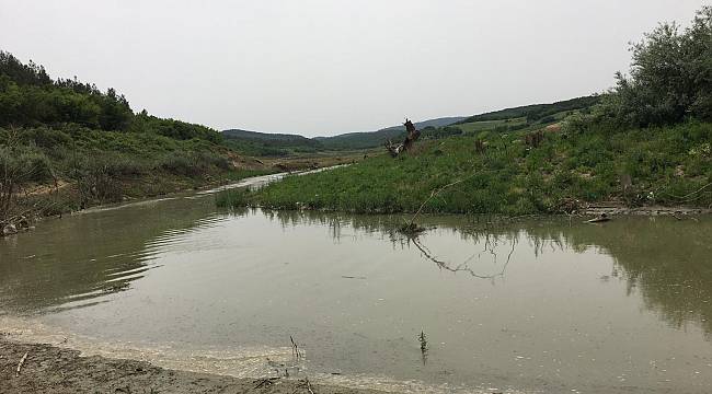 Avlanma Yasağına Rağmen Derede Balık Tutanlara Ceza Yağdı