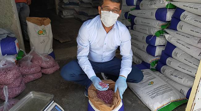 Çiftçilere Hibe Tohumlar Teslim Edilmeye Başlandı