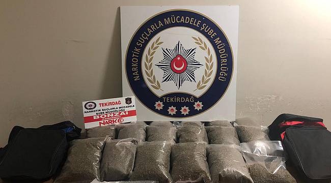 Çorlu'da 13 Kilo Bonzai Ele Geçirildi