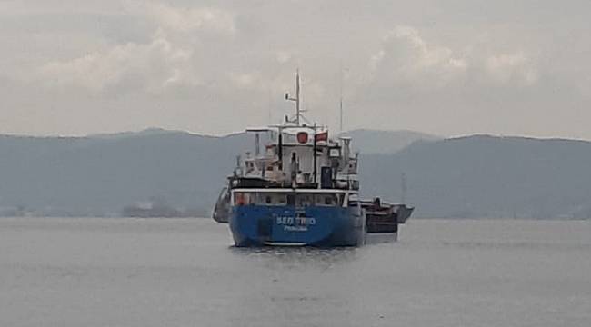 Kocaeli'de Demirli Kuru Yük Gemisinin İkinci Kaptanı Ölü Bulundu