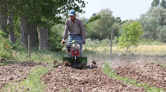 Tarım İşçileri Bayramı Tarlada Çalışarak Geçiriyor