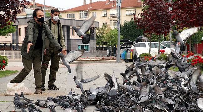 Yalova'da Sokak Hayvanları Bayramda Da Unutulmadı
