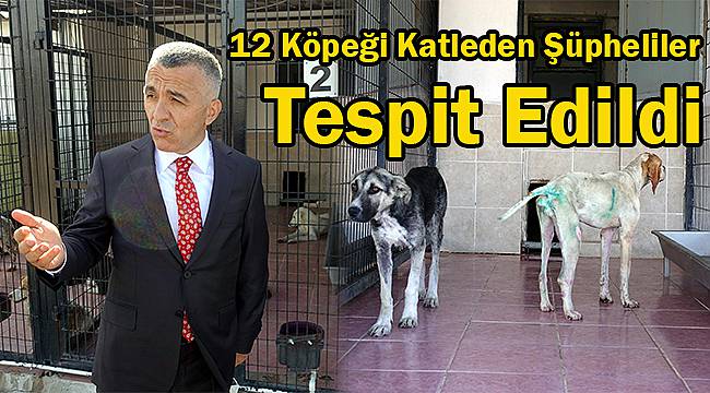 "12 Köpeği Katleden Şüpheliler Tespit Edildi"