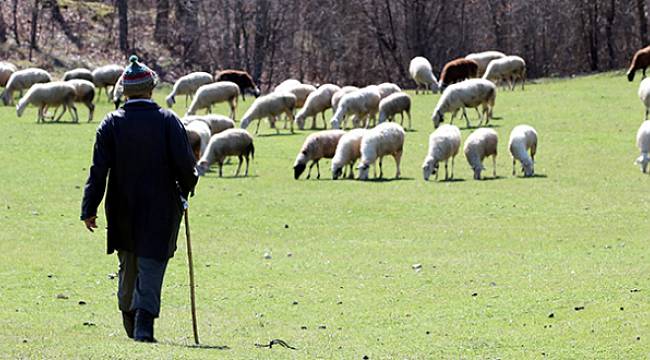 3 Gündür Haber Alınamayan Çoban Bakın Nerede Bulundu