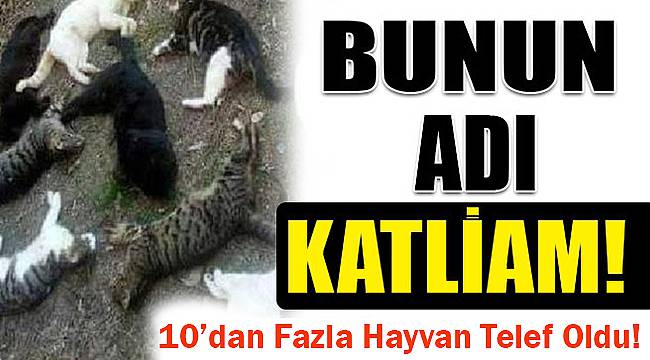 Bunun Adı Katliam!