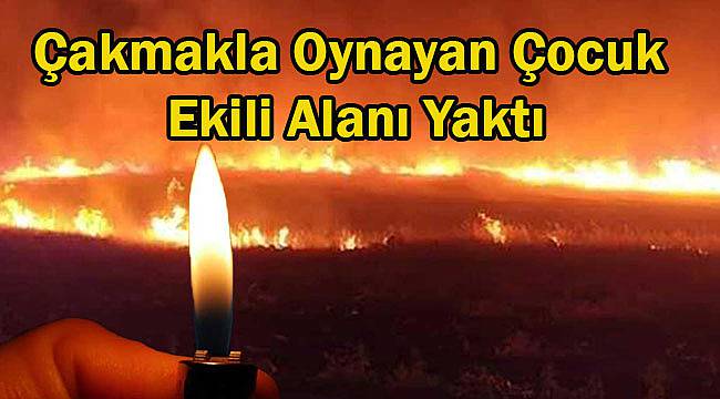 Çakmakla Oynayan Çocuk Ekili Alanı Yaktı