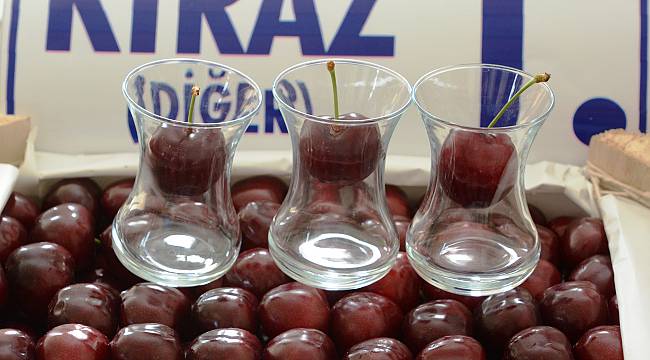Geleneksel Kiraz Festivaline Koronavirüs Engeli