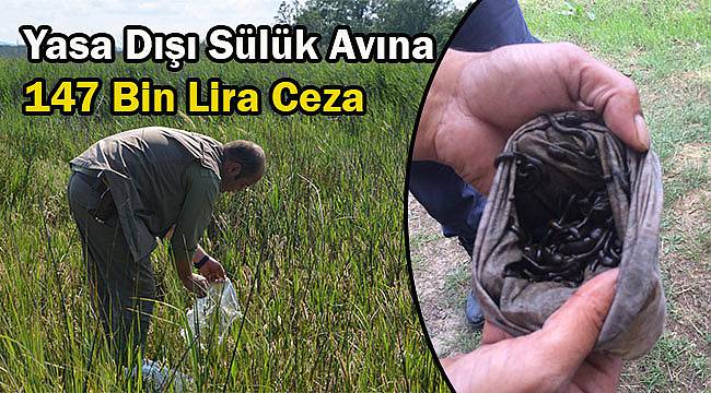 Yasa Dışı Sülük Avına 147 Bin Lira Ceza