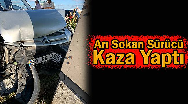 Arı Sokan Sürücü Kaza Yaptı
