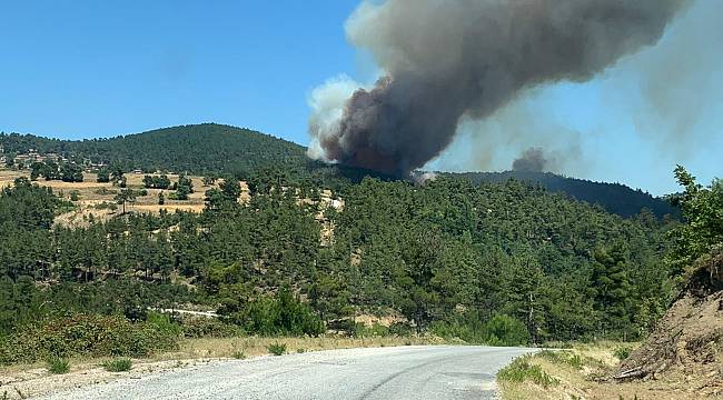 Çanakkale'de Orman Yangını