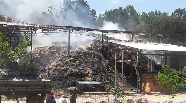 Çiftlikte Yangın, 25 Hayvan Telef Oldu