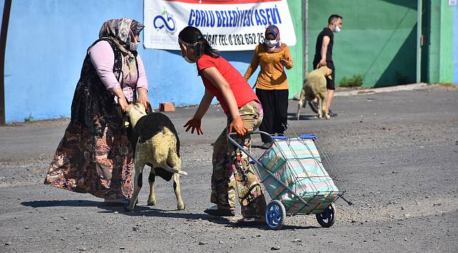 Çorlu'da Kurbanlar Kesim Alanlarında Tedbirlere Uyularak Kesildi