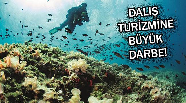 Edirne’de Dalış Turizmine Büyük Darbe!