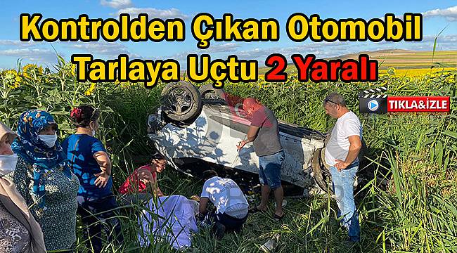 Arı Sokan Sürücü Kaza Yaptı