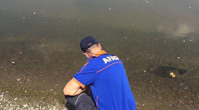Onlarca Hayvan Telef Olmuştu Meriç Nehri'nden Alınan Su Numunesi Temiz Çıktı