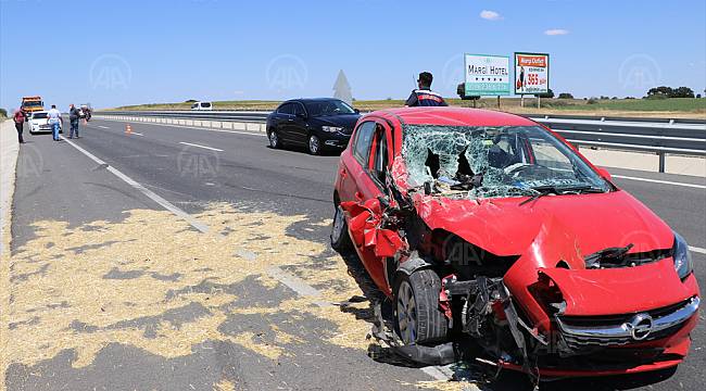 Otomobile Giren Arı Kazaya Neden Oldu