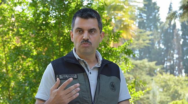 Balıkesir'deki Yangınlarda 19 Hektar Ormanlık Alan Zarar Gördü