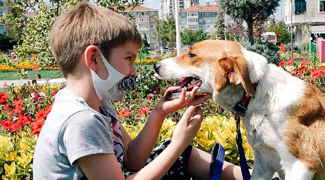 Çorlu Belediyesi ‘Dünya Köpek Günü’nde Farkındalık Yarattı
