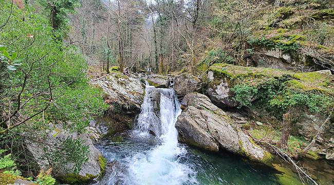Kazdağları'nın Kuş Envanterine 5 Yeni Tür Eklendi