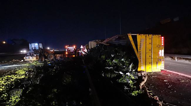 Kocaeli'de Devrilen Sebze Yüklü Tır Ulaşımı Aksattı