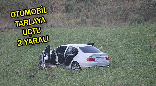 Kontrolden Çıkan Otomobil Tarlaya Uçtu, 2 Yaralı